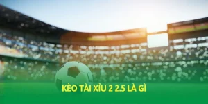 Kèo tài xỉu 2 2.5 là gì